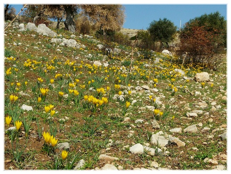 Il Gargano